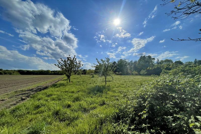 Ausblick aus dem Garten