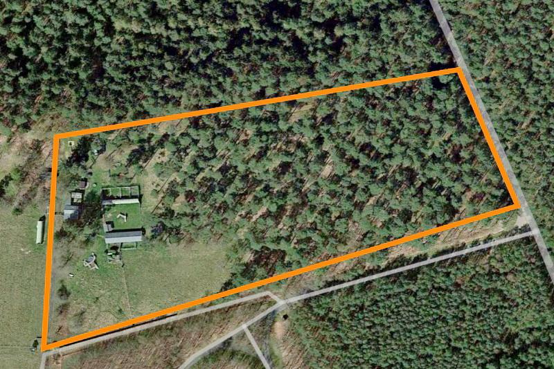Hundepension & Hundeschule! Erfolgsmodell auf 2,9ha sucht neue Eigentümer!