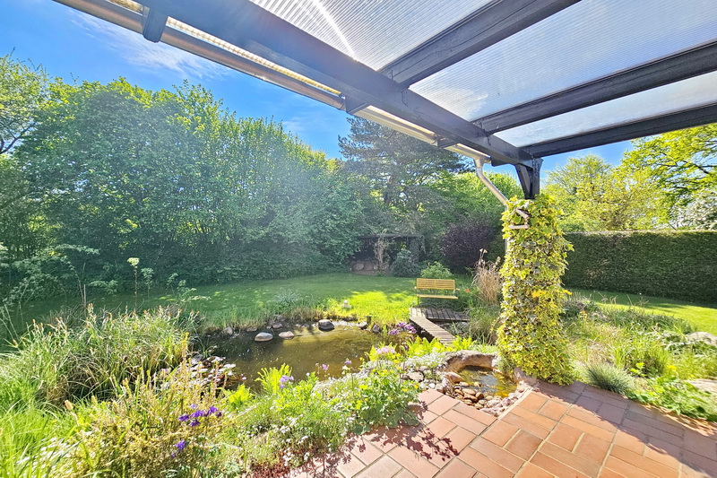 Blick in Garten